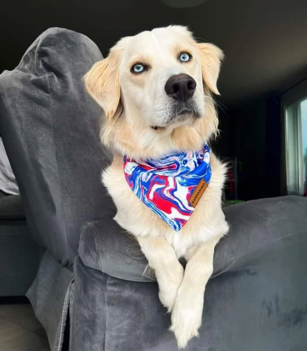 Bandana pour chien Tie-dye marbre français