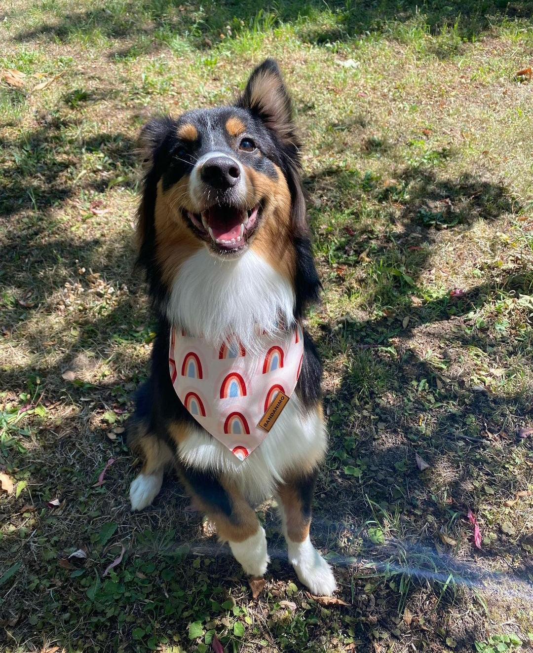 Bandana pour chien Arc-En-Ciel